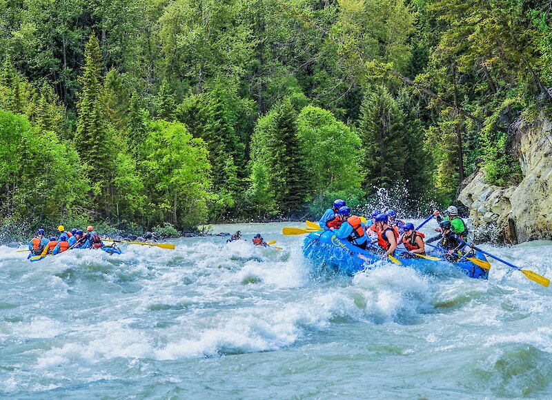 Rafters downstream on the Kicking Horse River