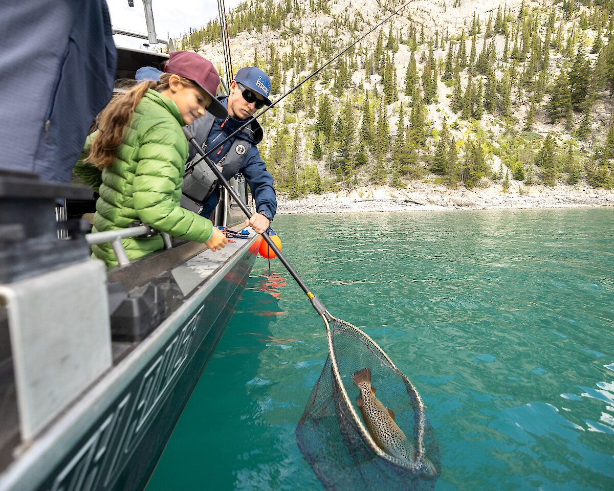 A lake trout being caught on lake minnewanka