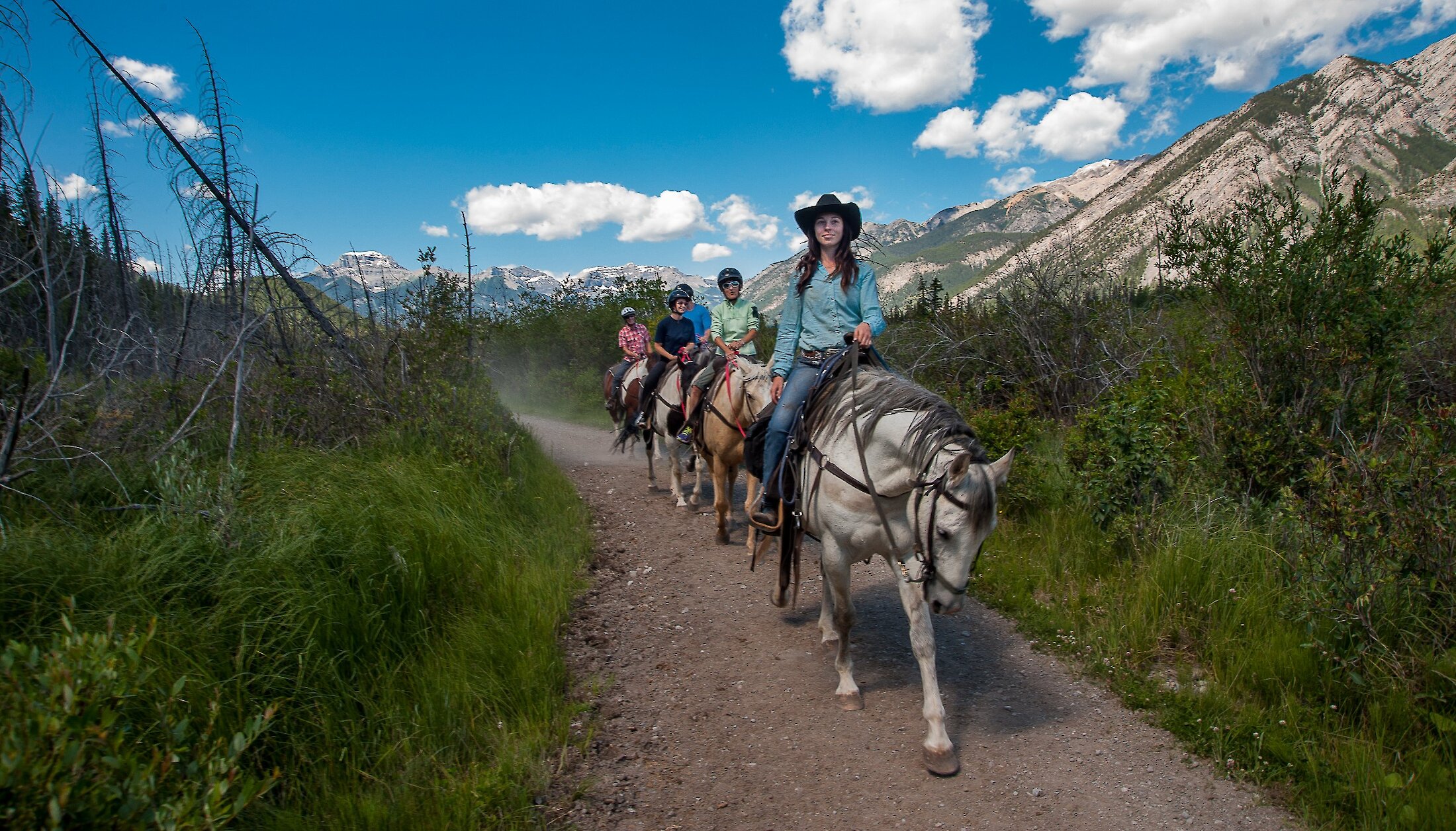 Horseback trail rides in Banff