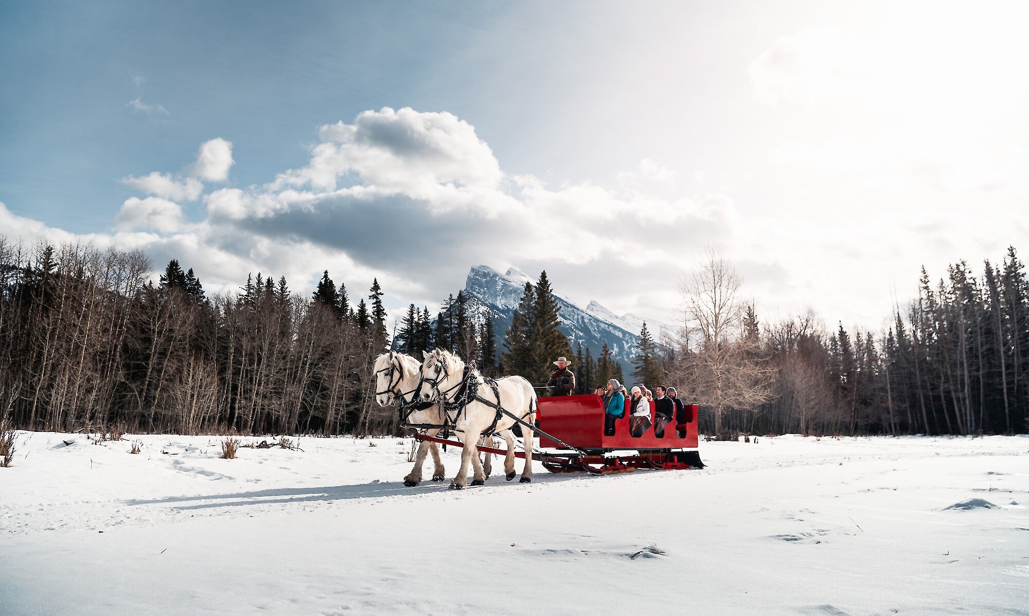 Public sleigh ride through the meadows of Banff