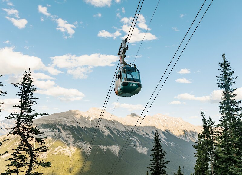 Ride to the top of the Banff Gondola in summer