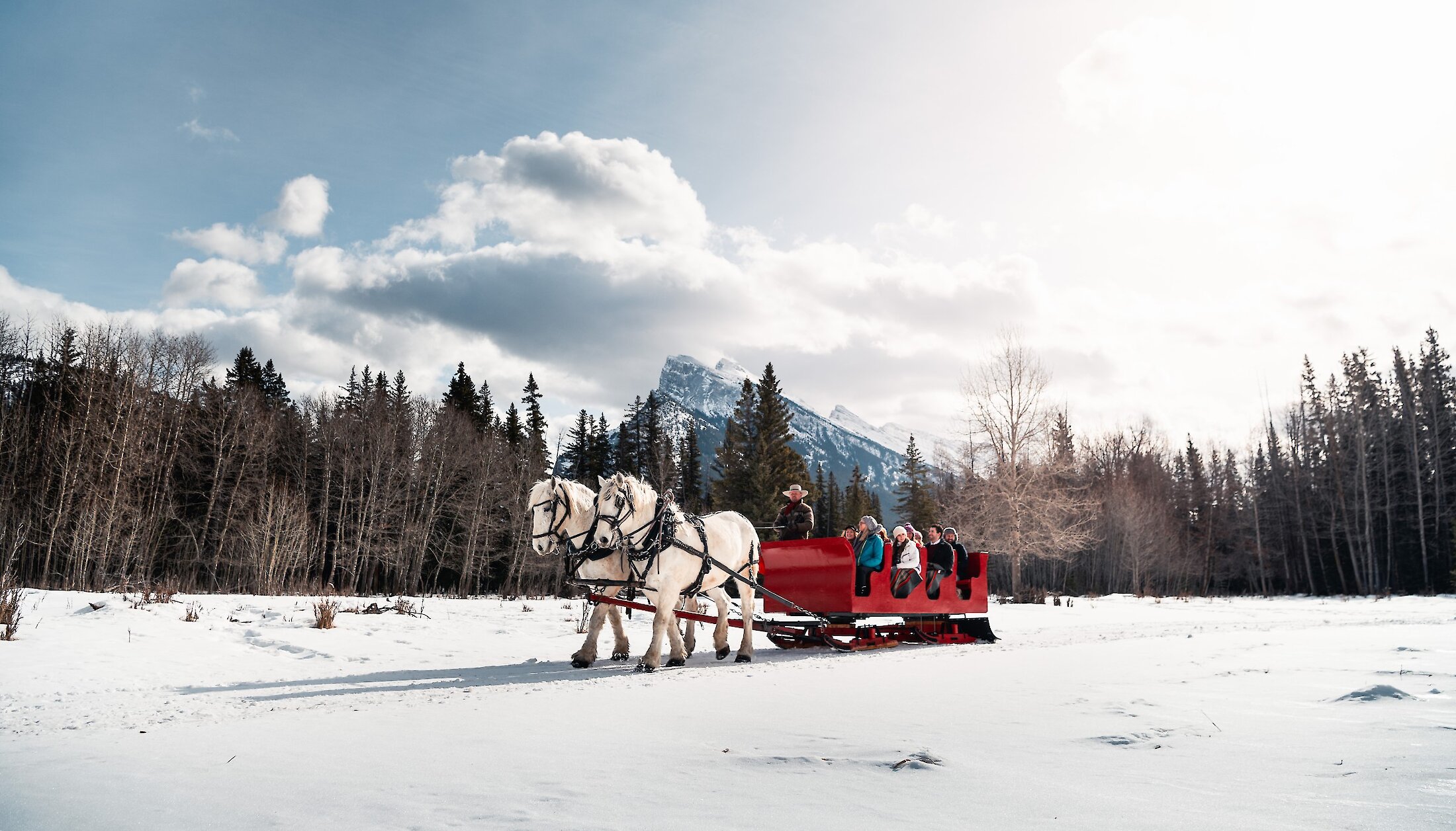 Horse drawn sleigh ride in Banff