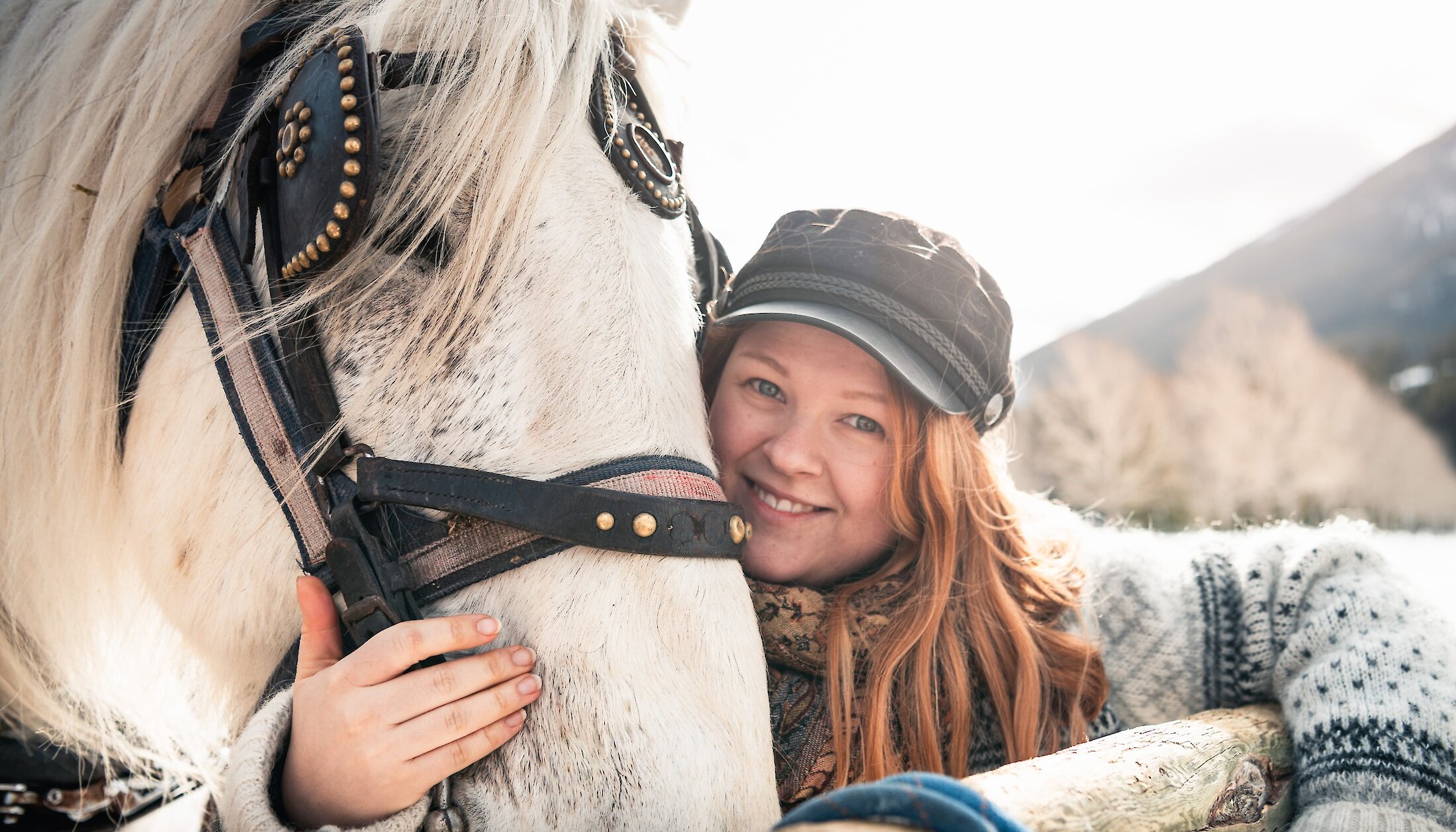 Snuggles with our friendly horses on a sleigh ride in Banff