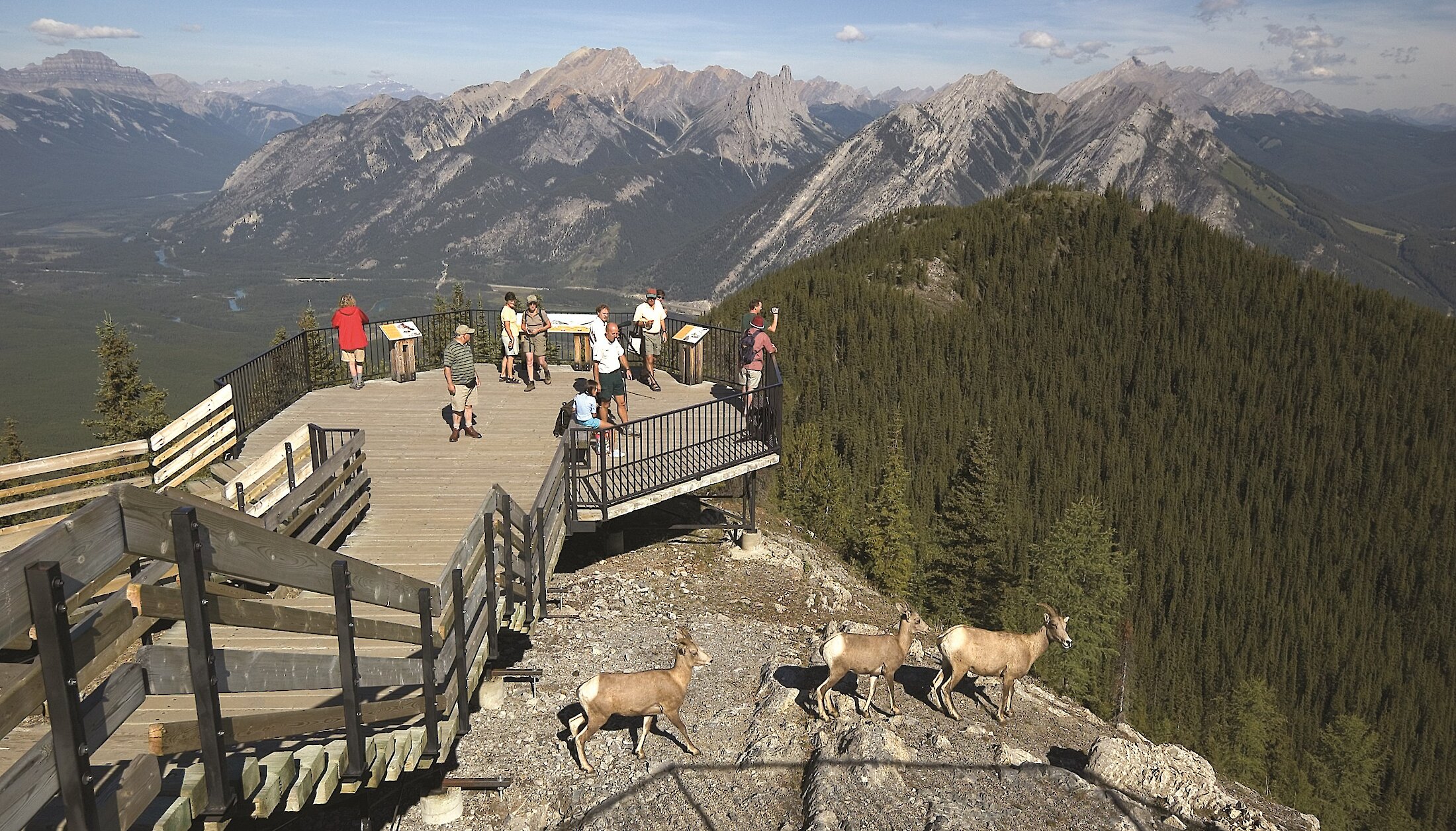 The boardwalk at the top of the Banff Gondola in summer