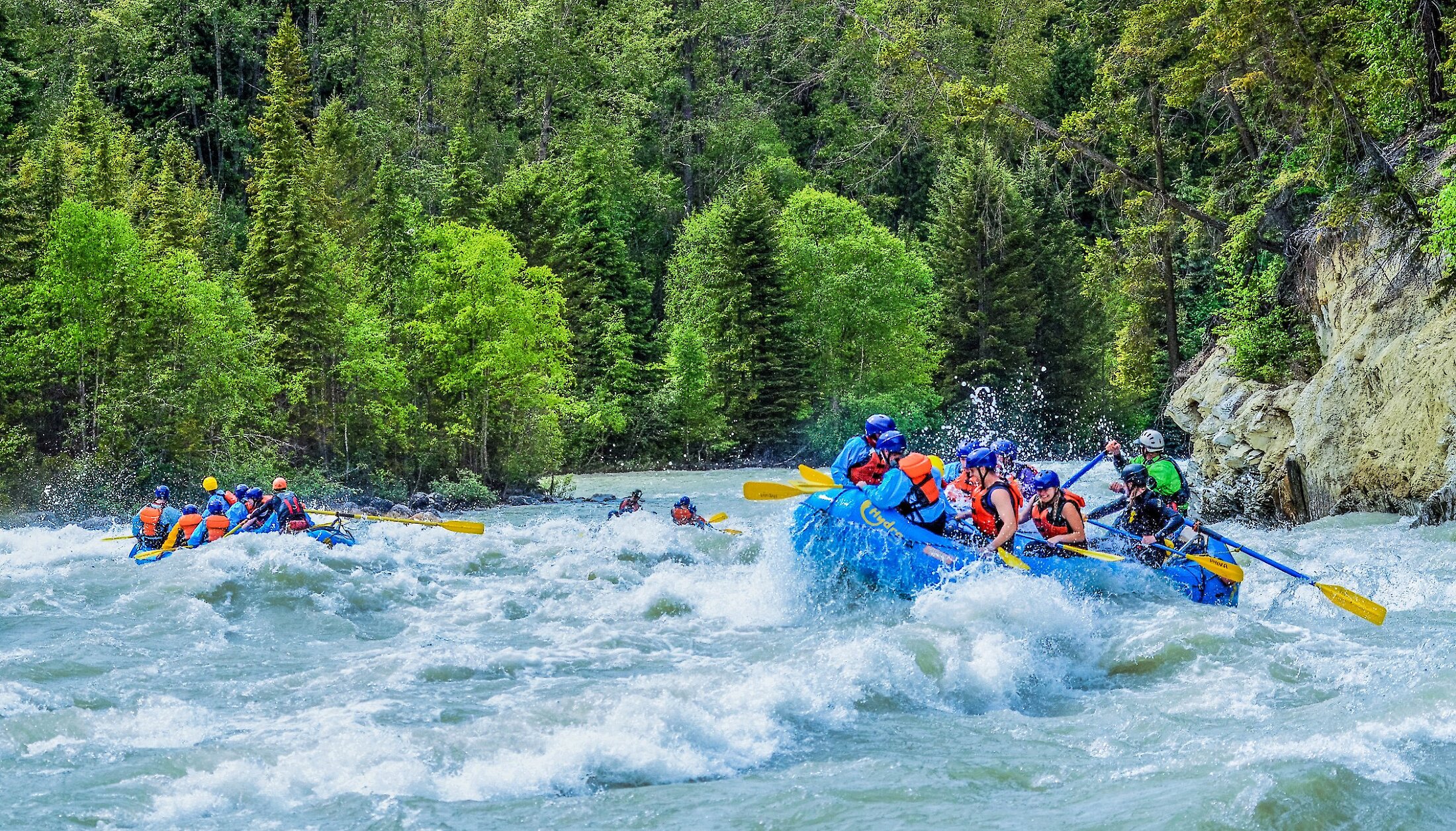 Thrilling raft ride on the Kicking Horse River
