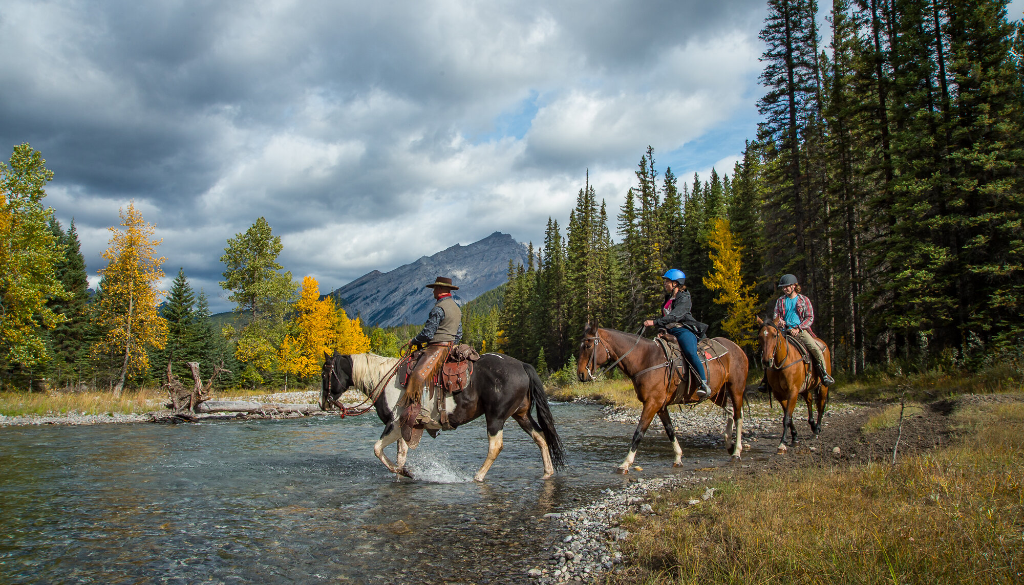 Horses crossing the Spray River in Banff