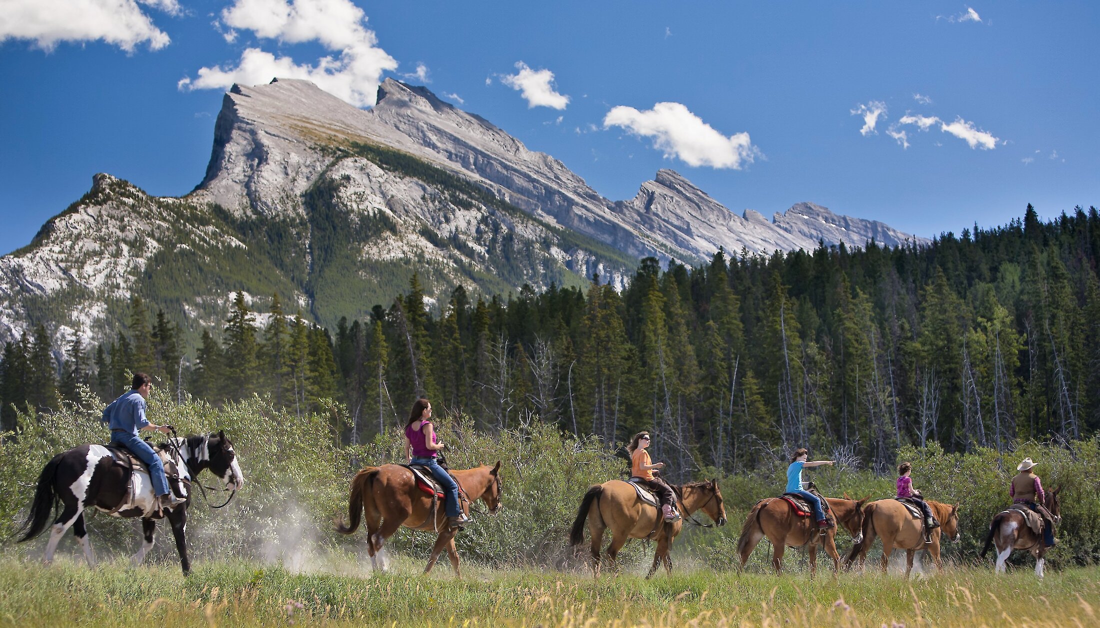 Enjoy a horse trail ride from the Banff stables