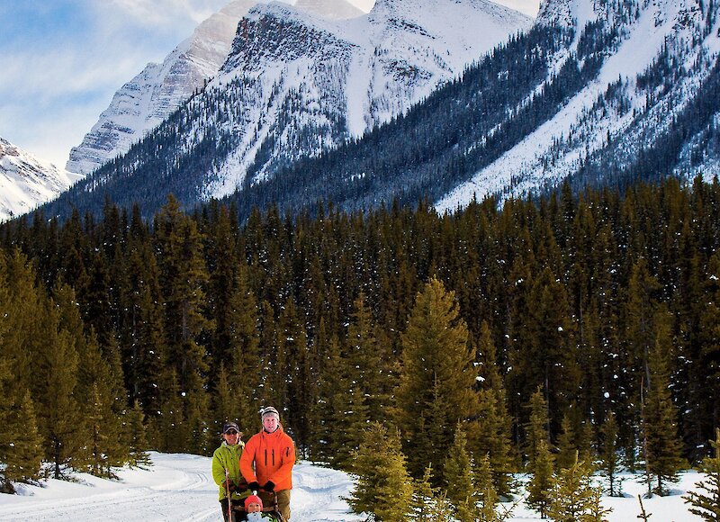 Dogsled team running on the wintery trails in lake Louise