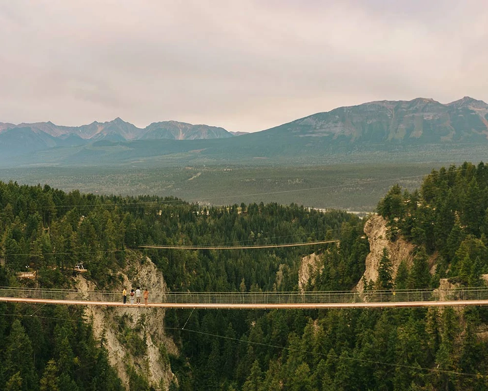 Walking on the Golden Skybridge