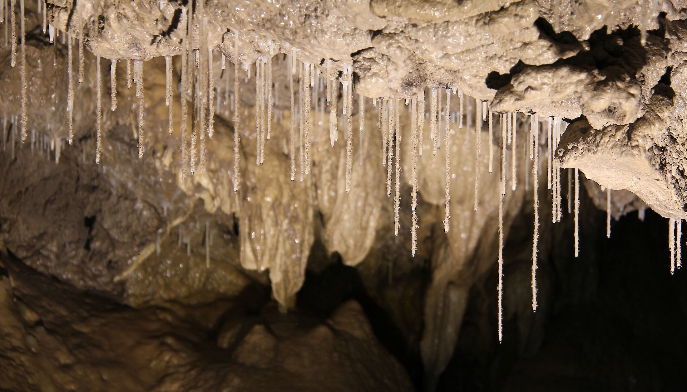 Stalactites in a cave in Canmore