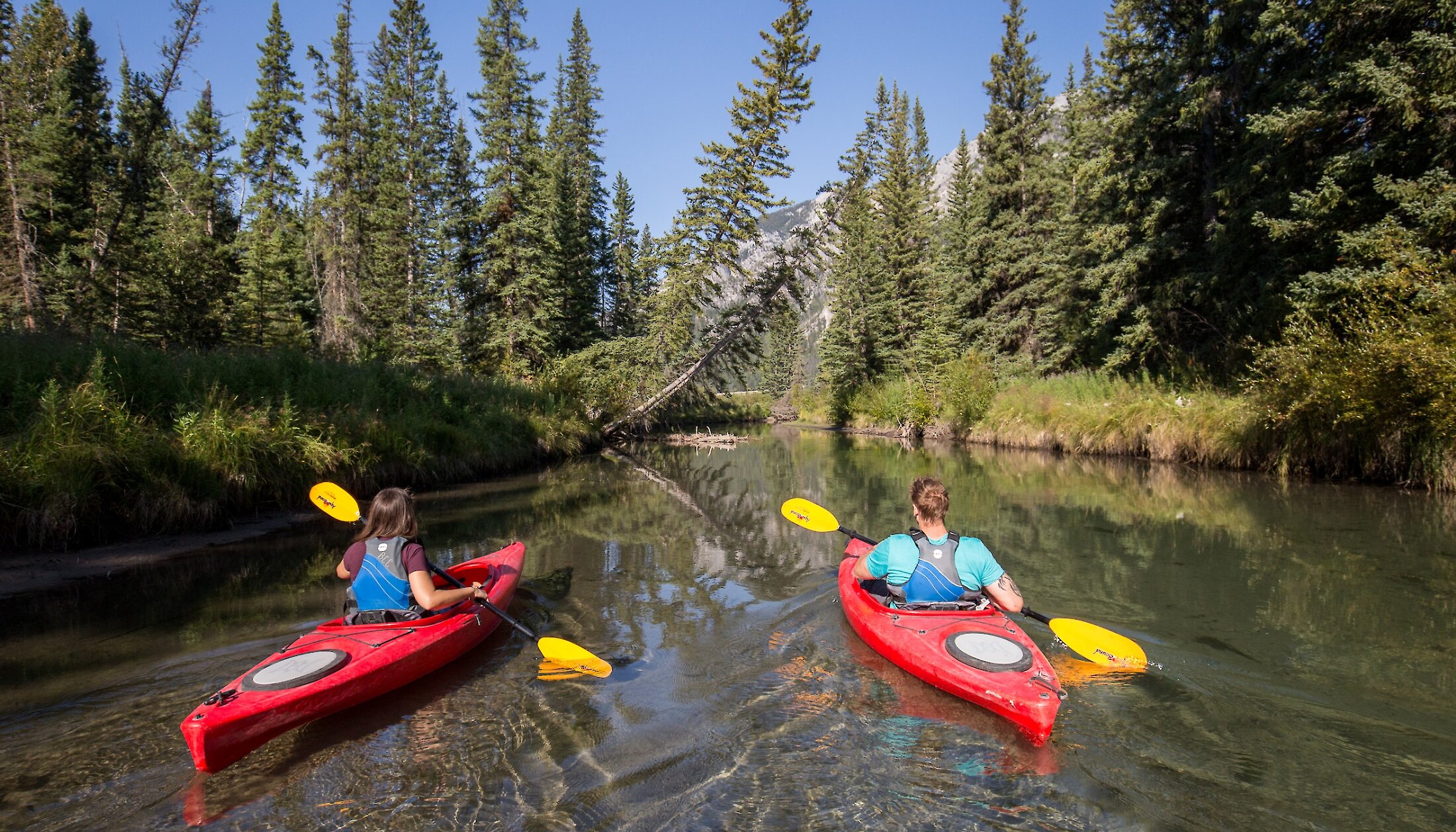 Kayaks paddling up forty mile creek in Banff