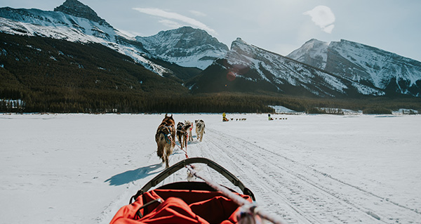 Embrace Winter Wonderland: 5 Must-Do Activities in Banff | Banff Adventures