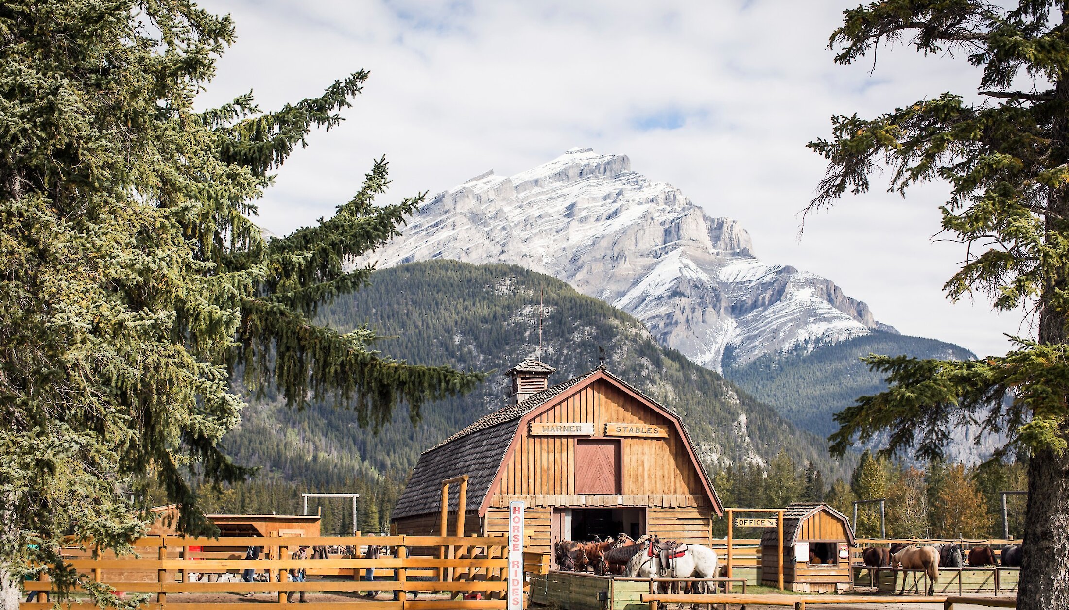 The Warner Stables in Banff