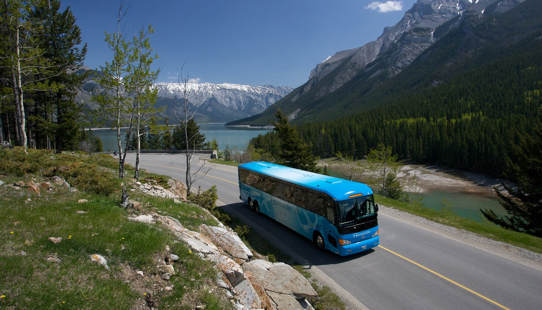 Bus heading on the Icefield Parkway to the Columbia Icefield