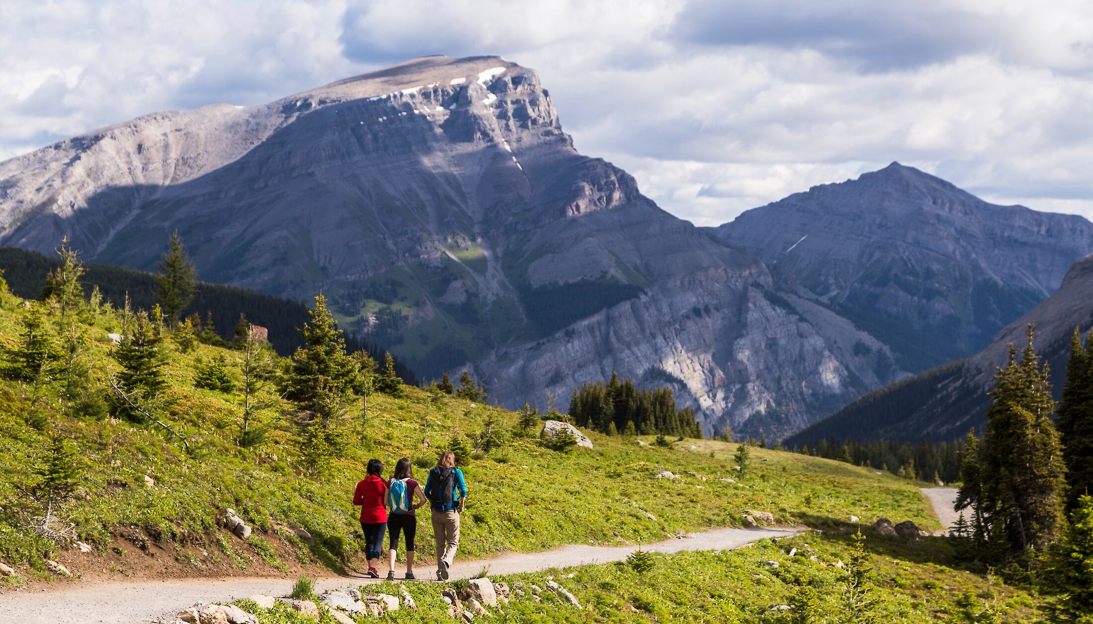 Hiking the trails at Sunshine Meadows