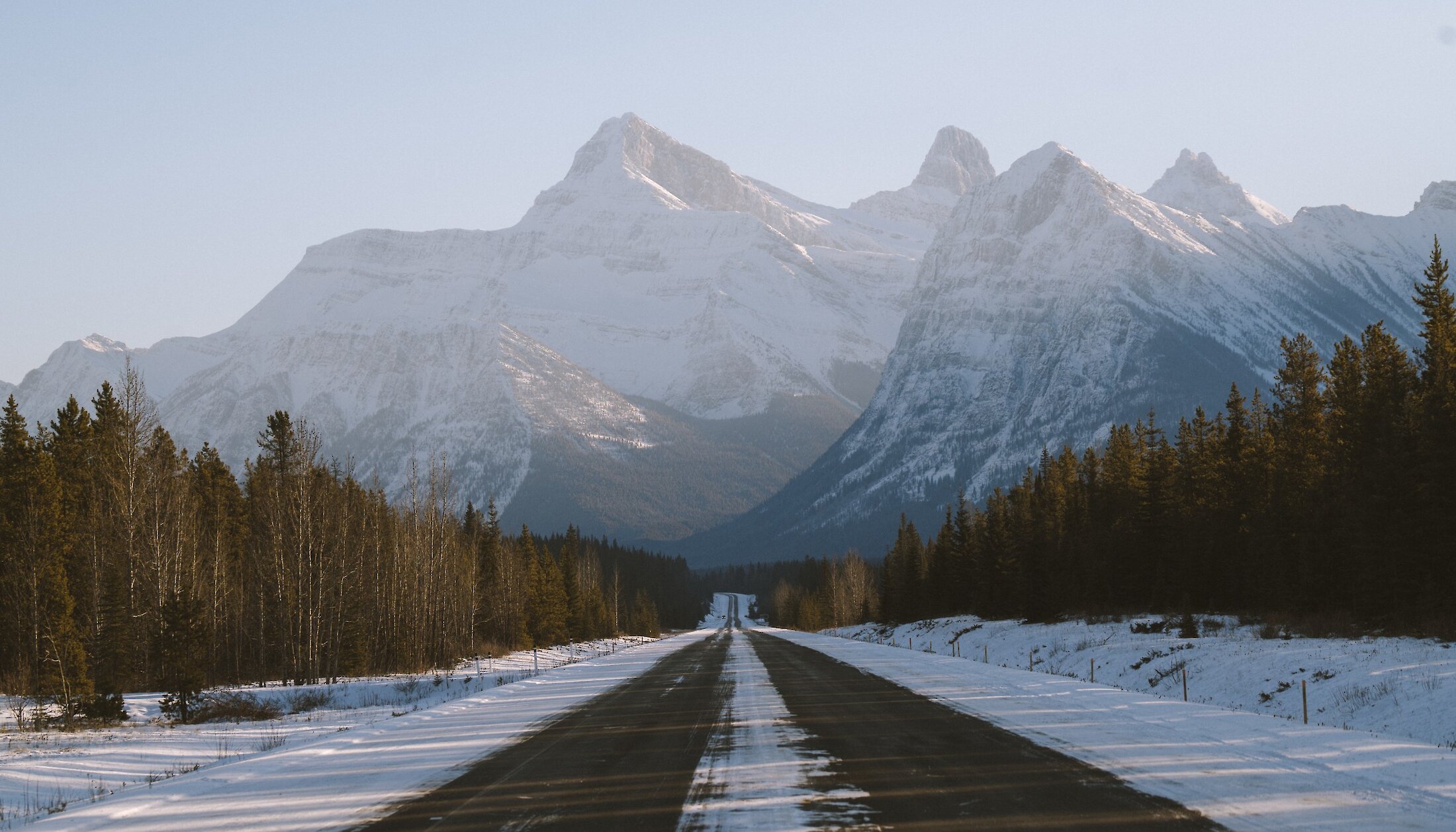 A view of the magnificent mountains on one of the worlds best drives, the Icefield Parkway
