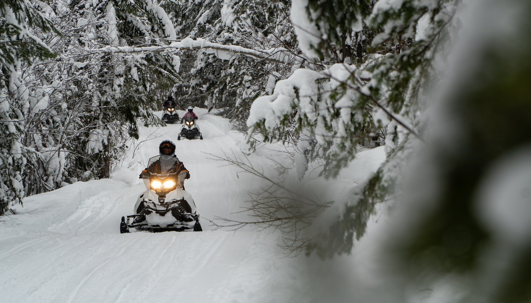 Treelined snowmobiling trails winding through the mountain at Kicking Horse