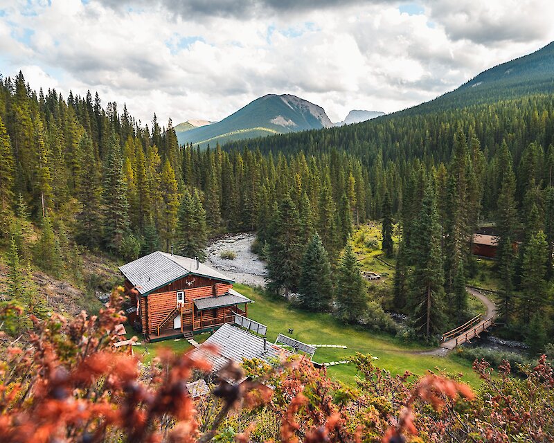 Horseback Riding - Backcountry Lodge Trips
