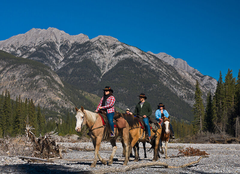 A group of horseback riders riding in Banff National Park