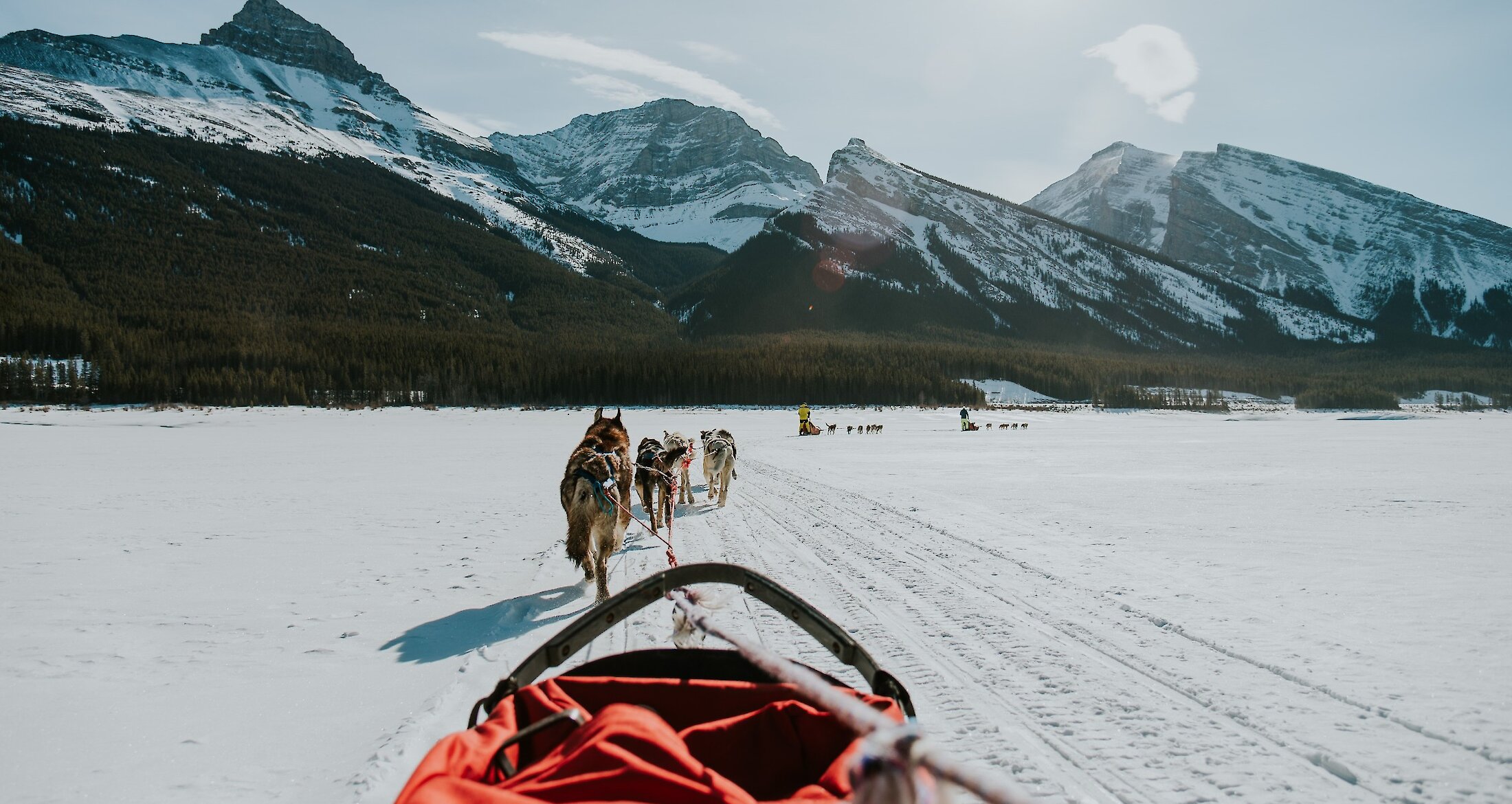 Dogsledding on a frozen Spray Lakes