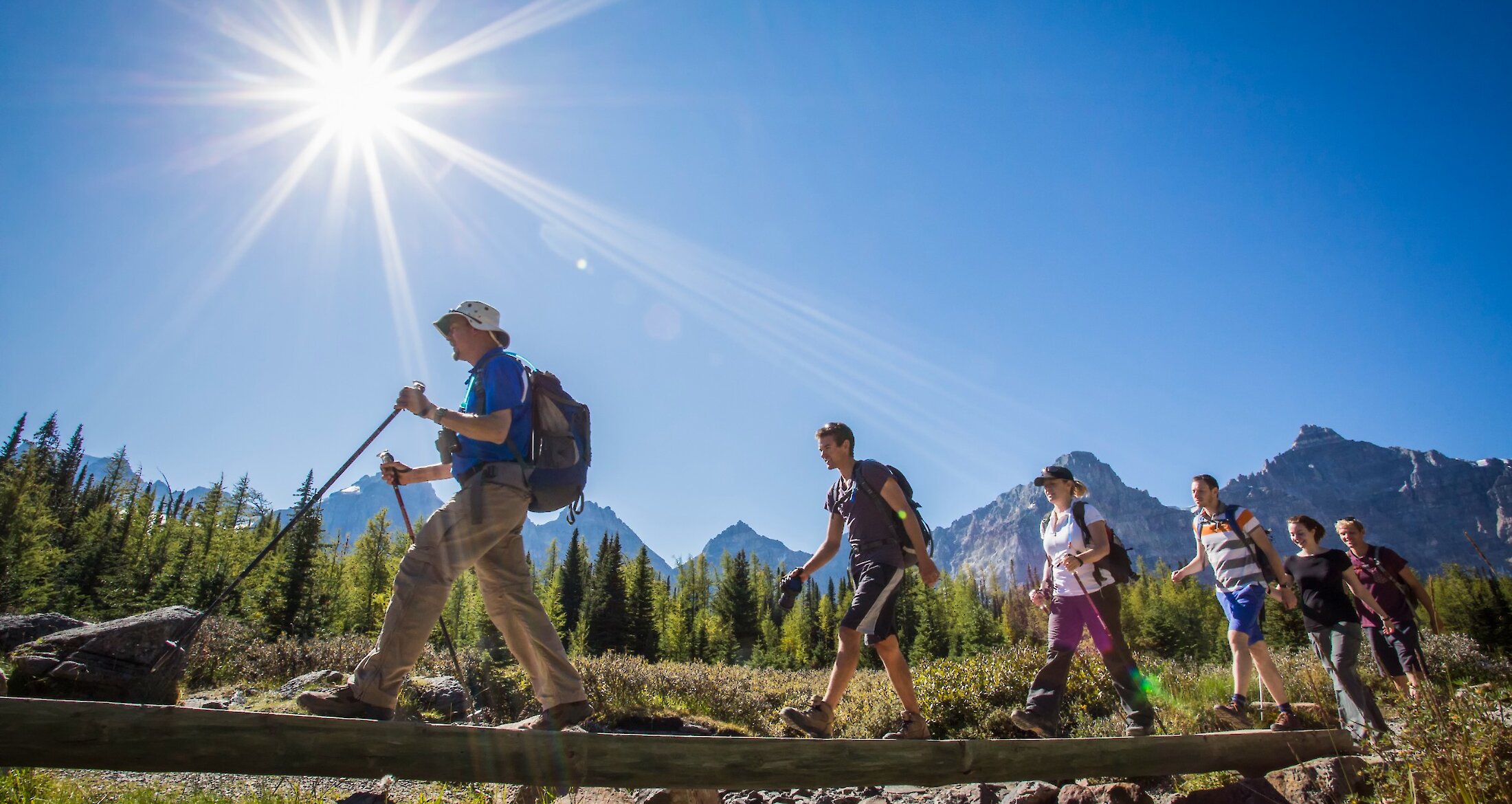 Guided hike in Larch Valley near Moraine Lake