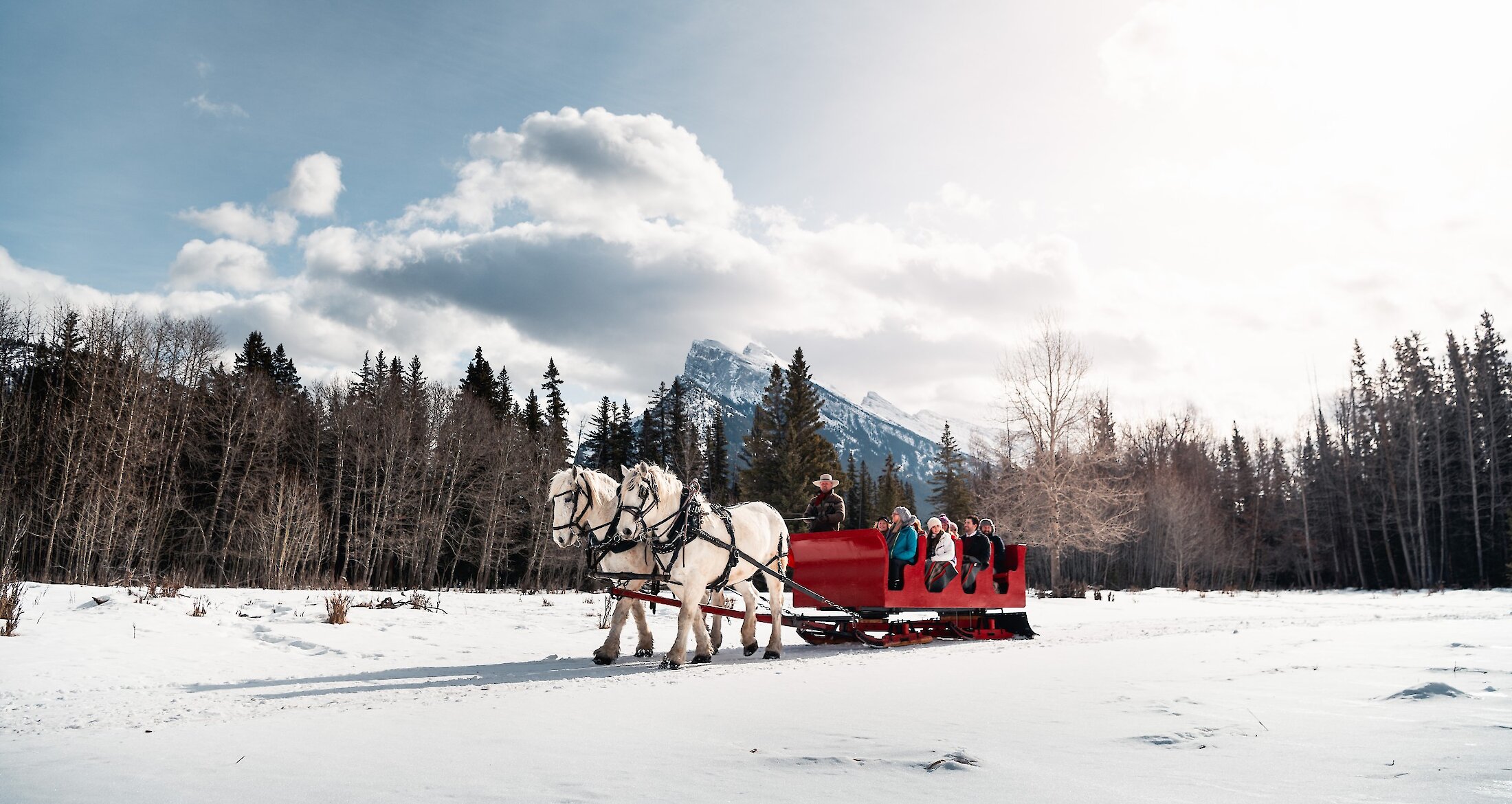 A public sleigh ride through the Meadows of Banff