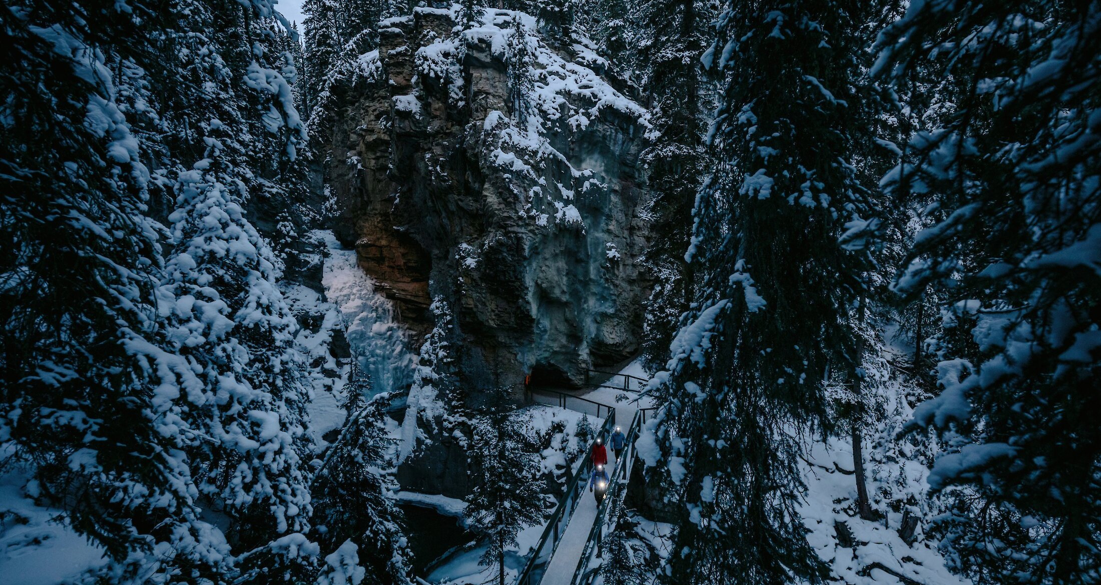 A group of people walking through johntson canyon by night