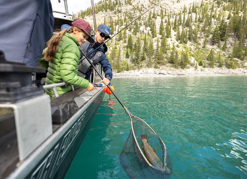 A lake trout being caught on lake minnewanka