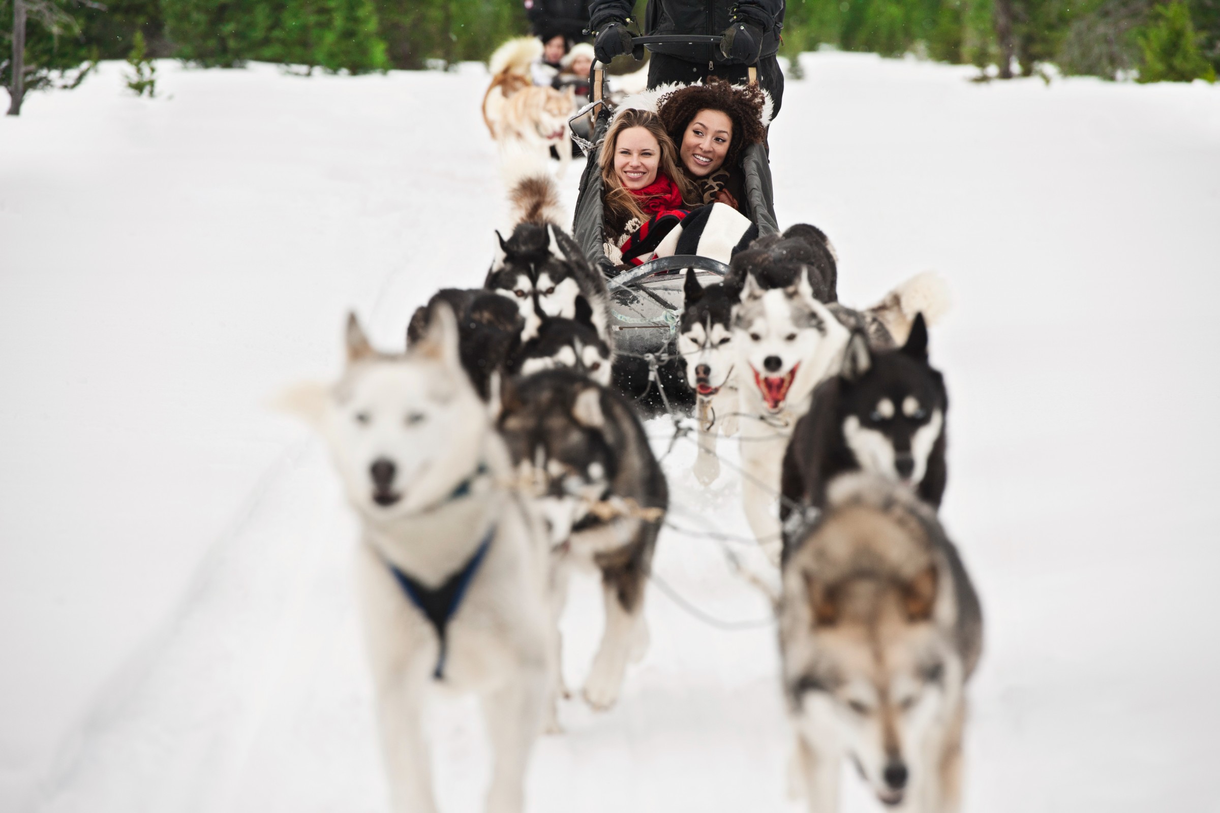 Family Friendly Banff Winter Tours | Banff Adventures