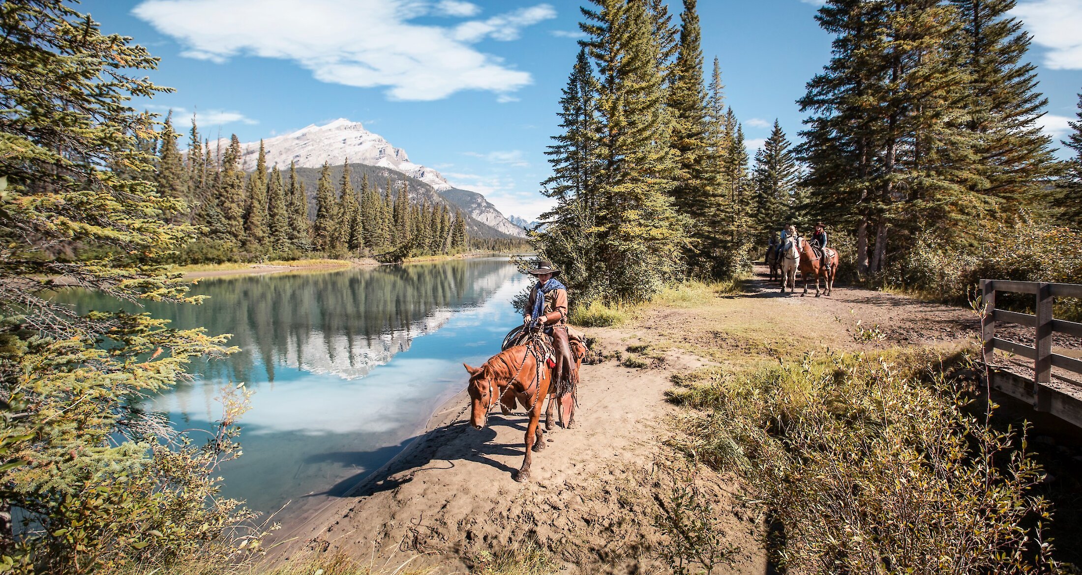 A guide leading the group of horses and riders in Banff National Park