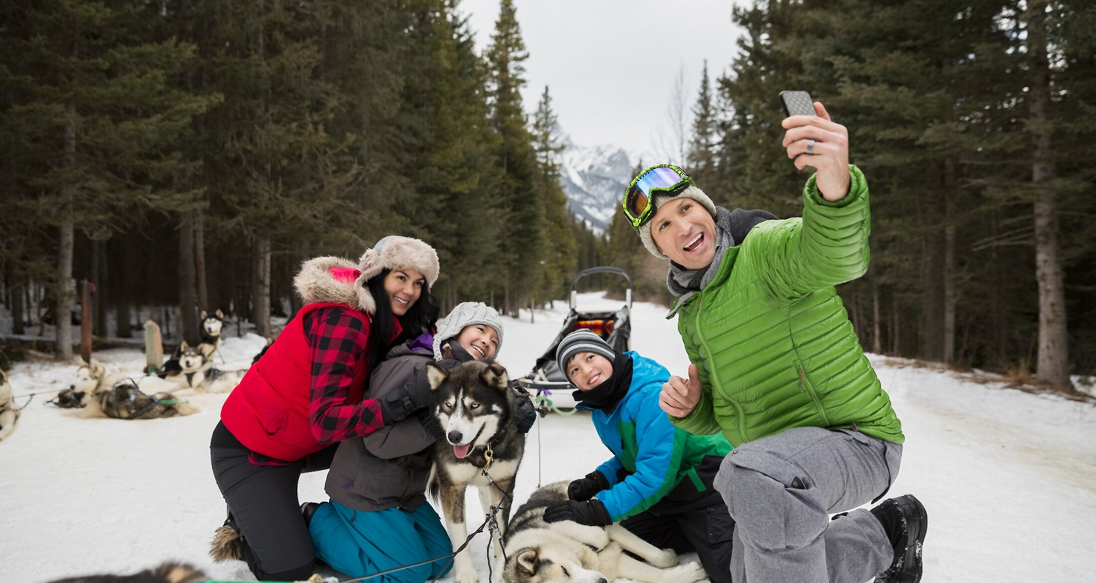 Family Dogsledding in Banff