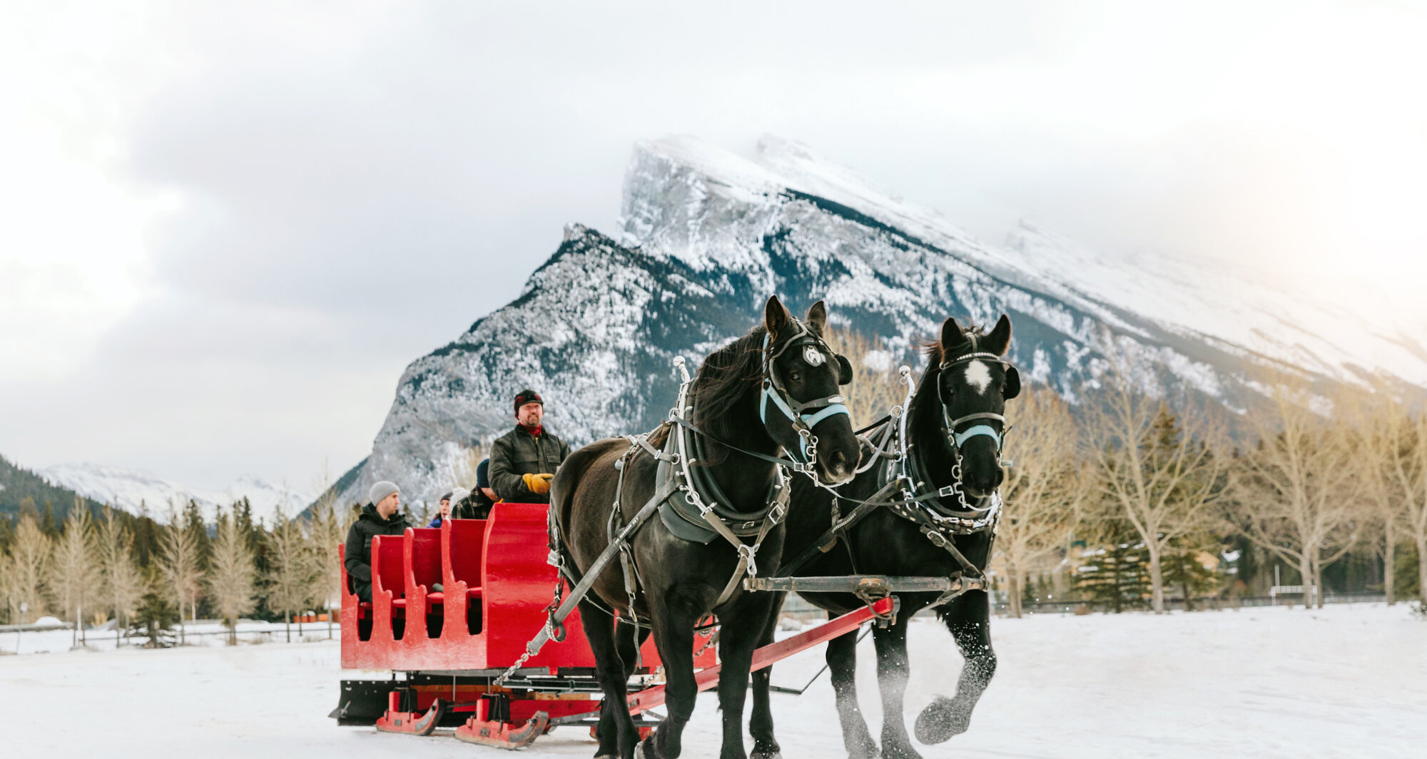 Winter Sleigh Ride in Banff