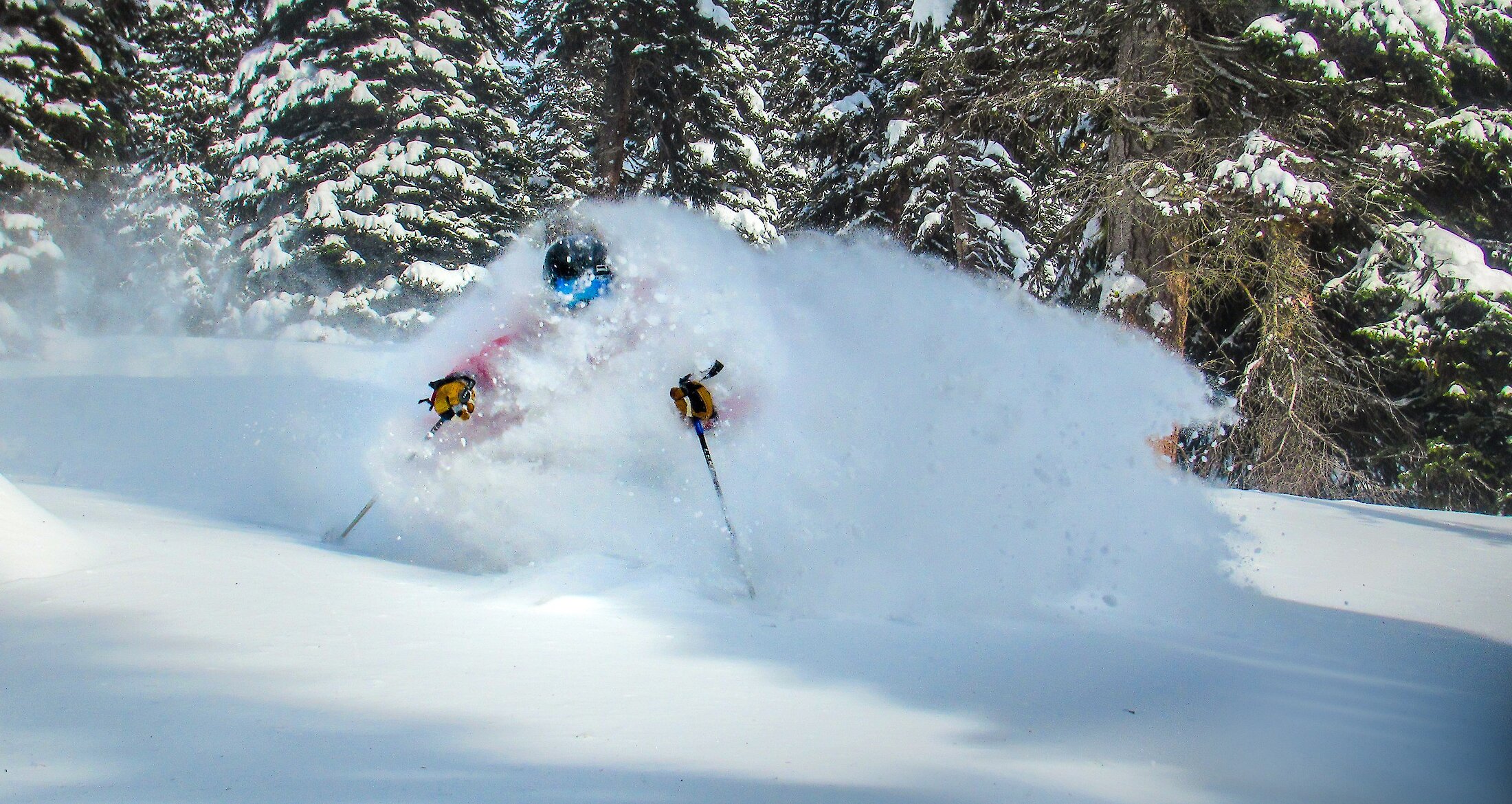 Powder Skiing in Banff