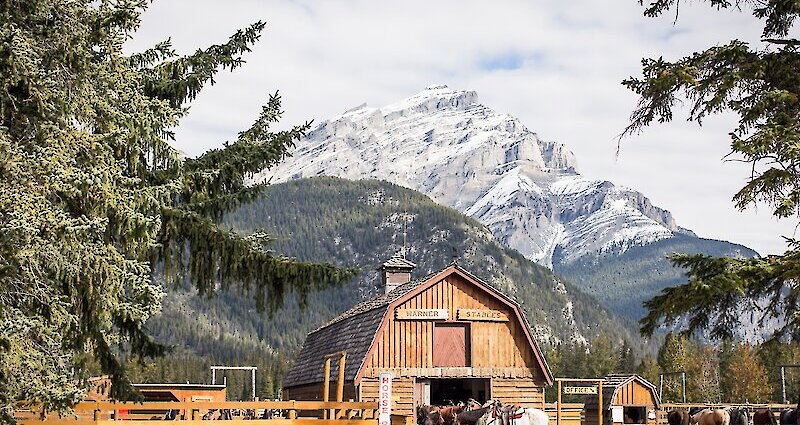 Warner Stables Horse Riding Tours in Banff