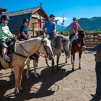 A group photo at stables