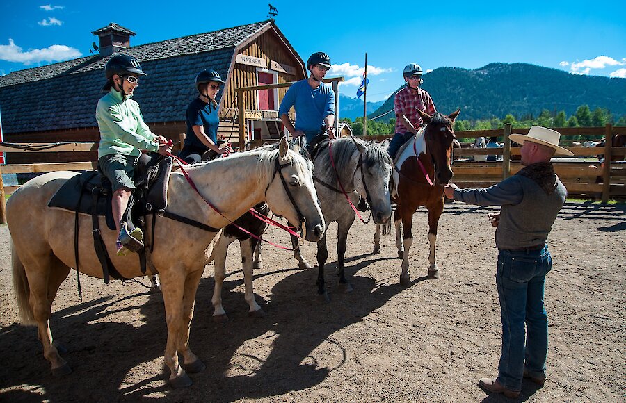 A group photo at stables