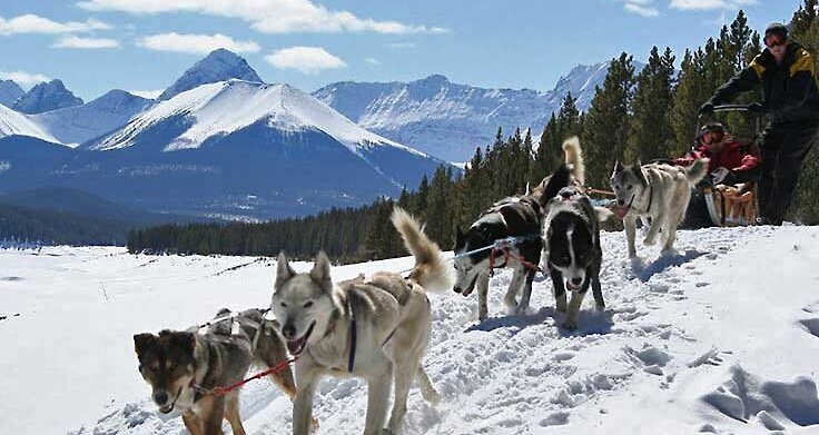 Couple Dogsledding in Banff