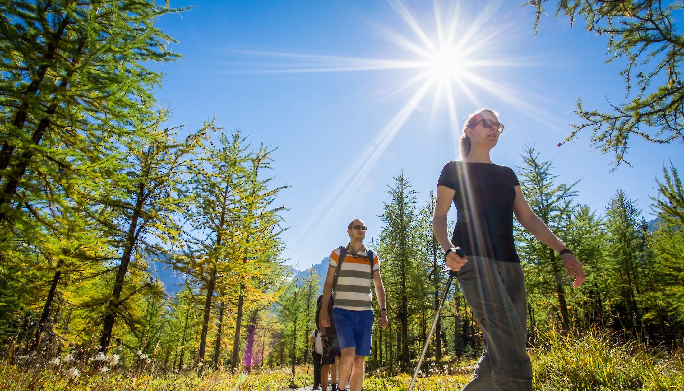 Hiking in Banff National Park