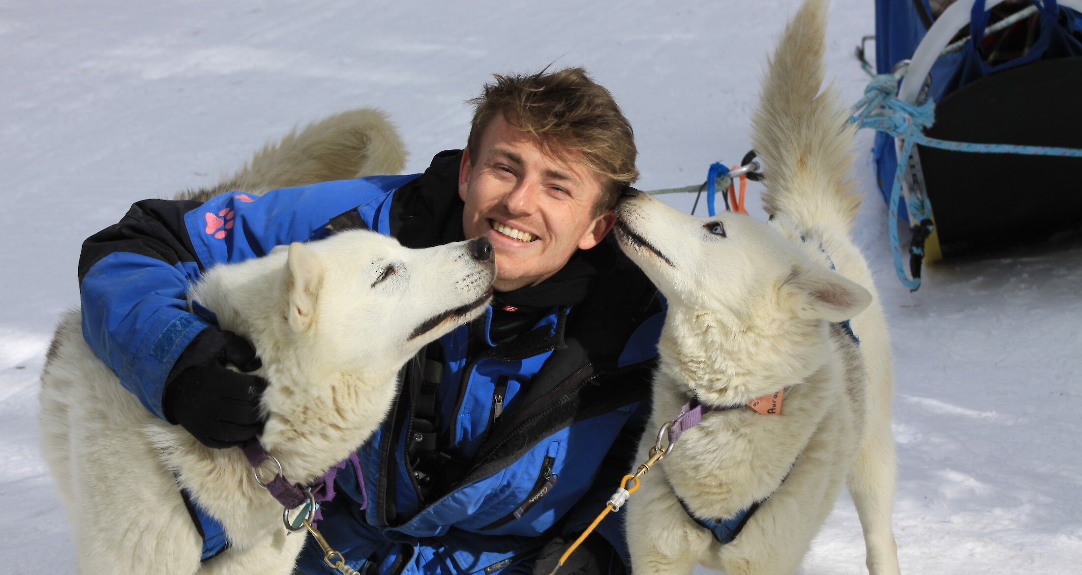 Dogsled Adventures in Canmore