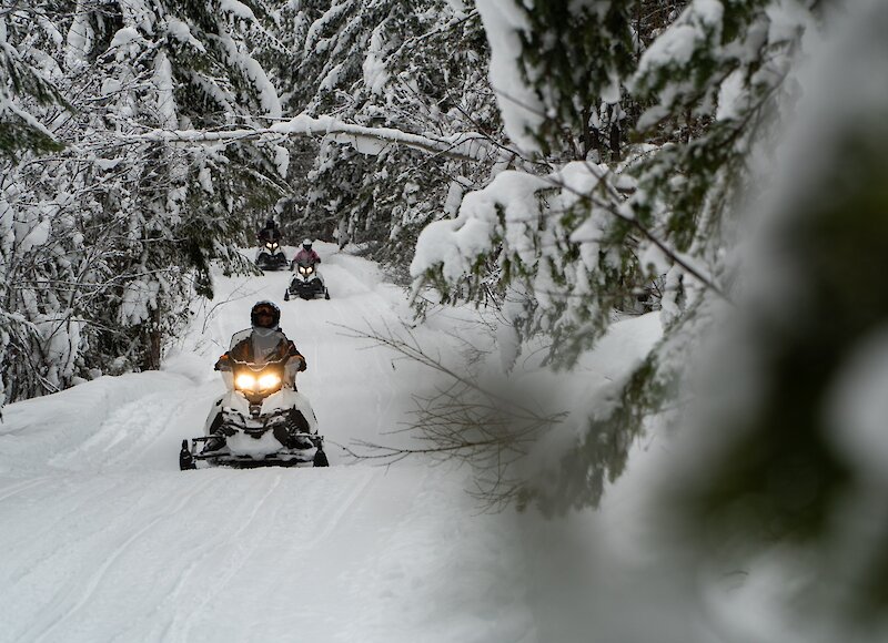 A snowmobiling riding through the snow covered trees