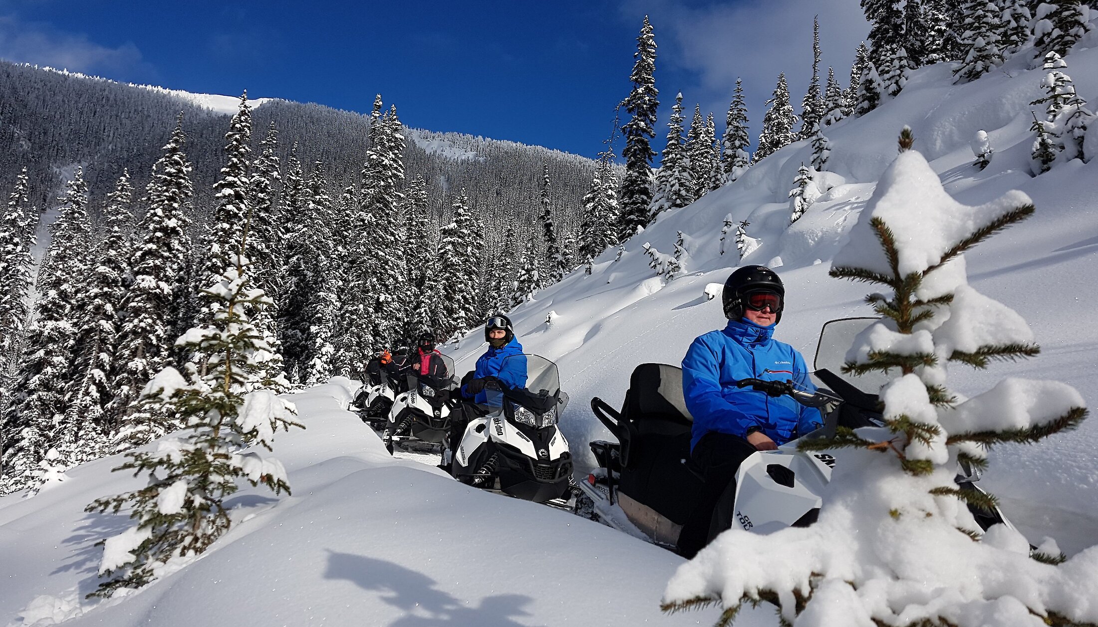 Snowmobiling tours in Golden