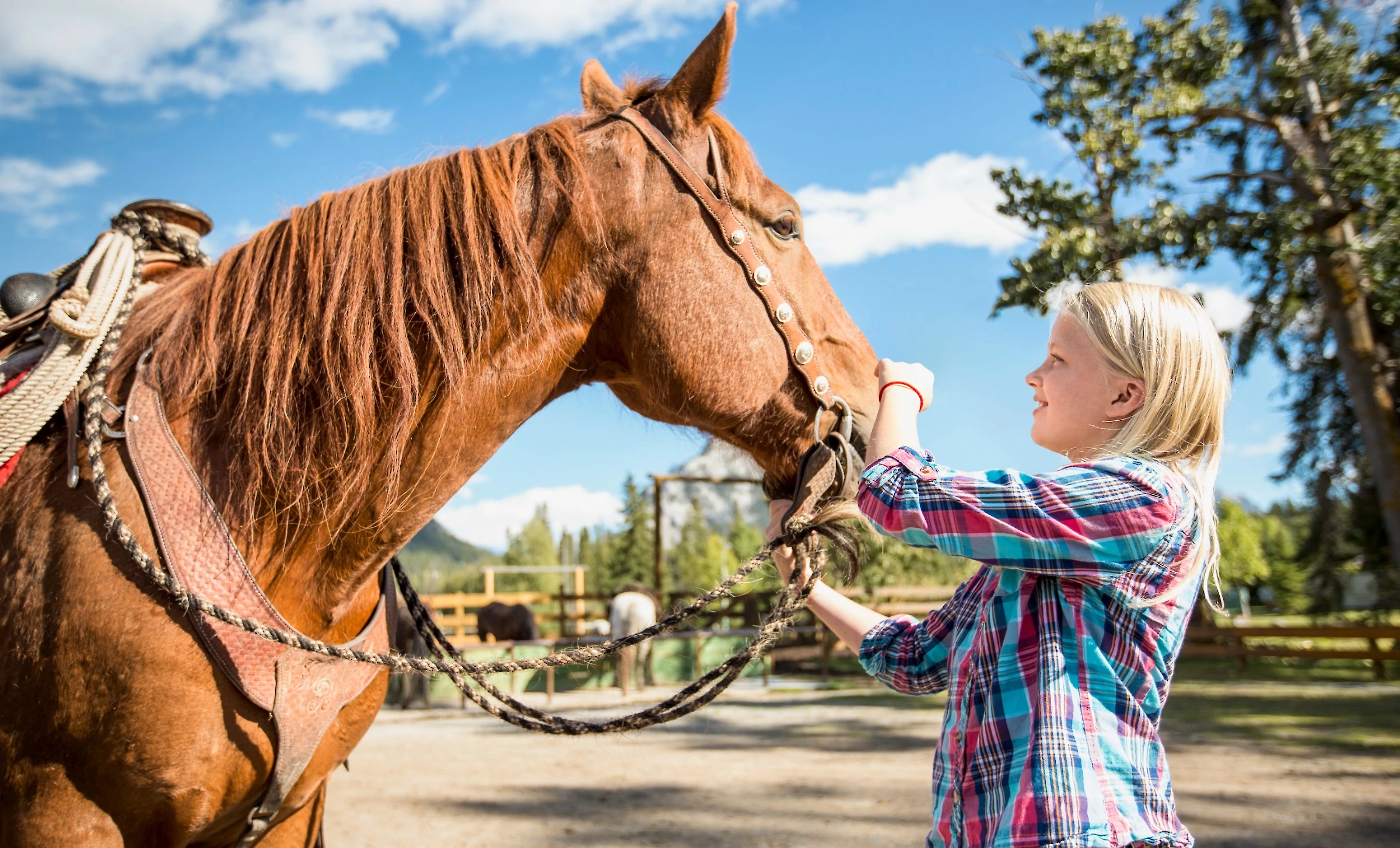 Horseback Riding Banff