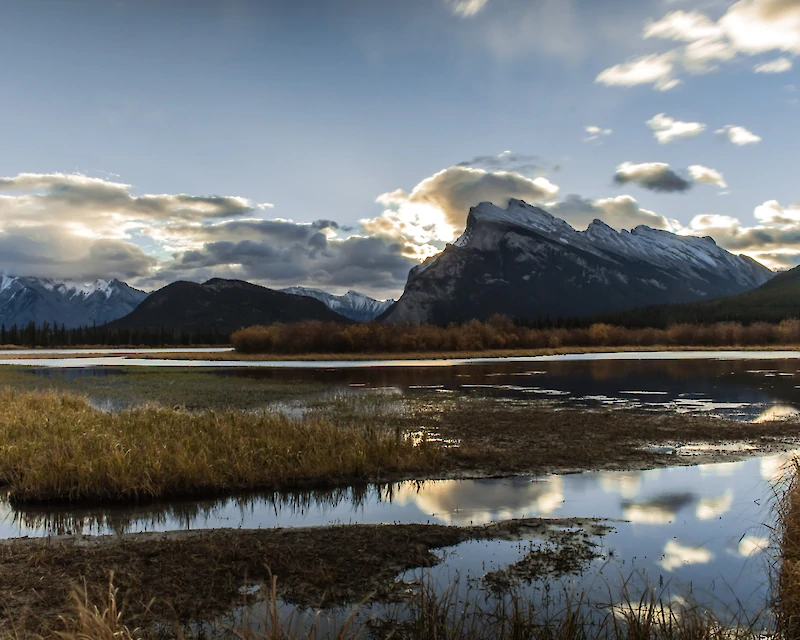 Explore Banff & Wildlife
