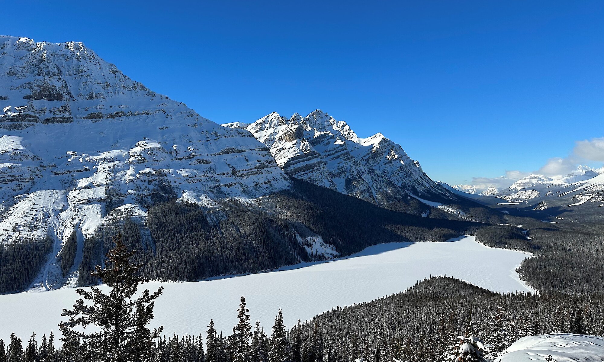 A view of a frozen Peyto Lake from the view point