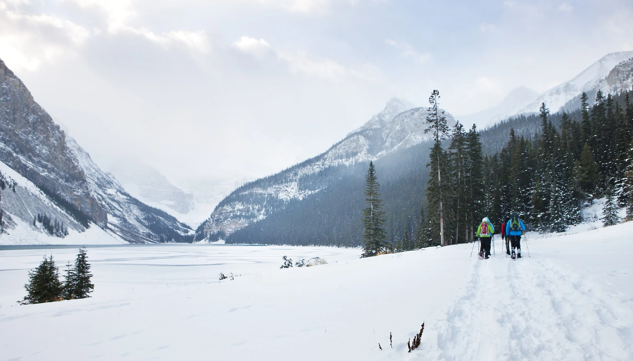 A group of snowshoers on the Lake Louise Lakeshore Trail