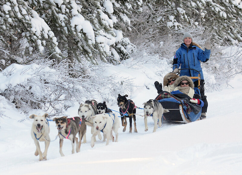 A dog sledding team on the trail with two friends in the sled.
