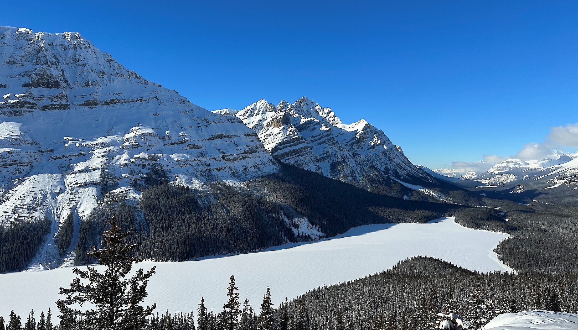 A view of frozen and snow covered Peyto Lake from the viewing deck in Winter