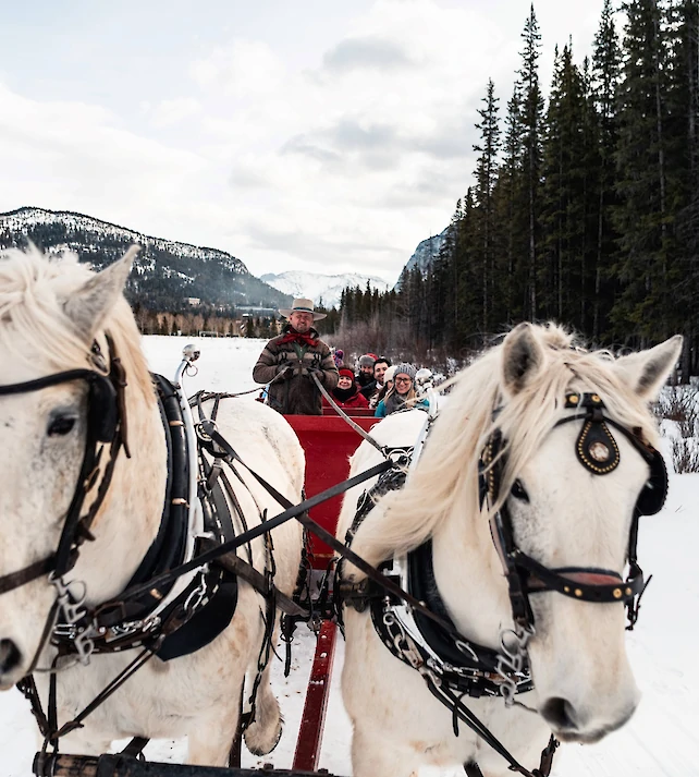 Sleigh ride