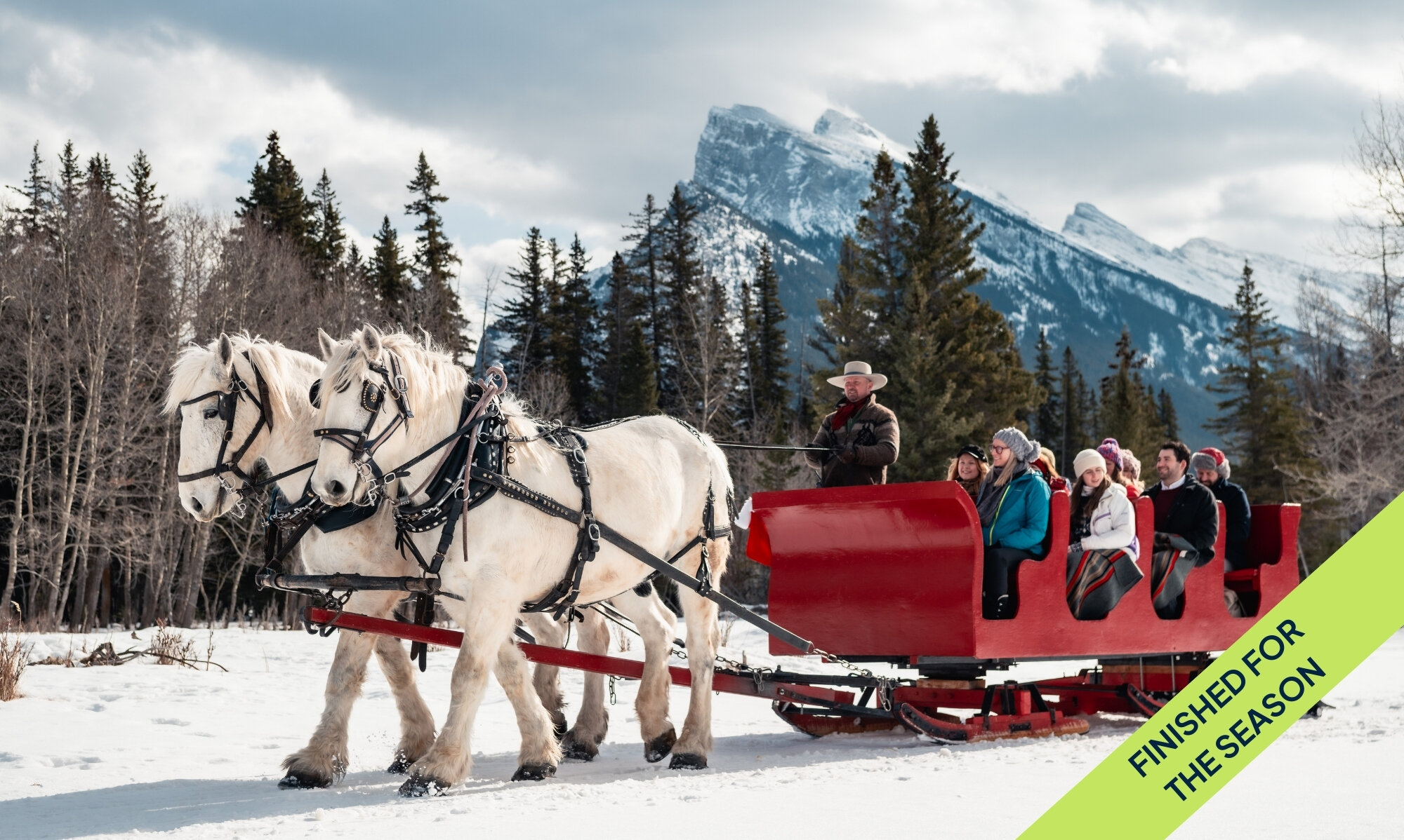 A horse drawn sled in winter pulling guests through the Banff meadow and mountains
