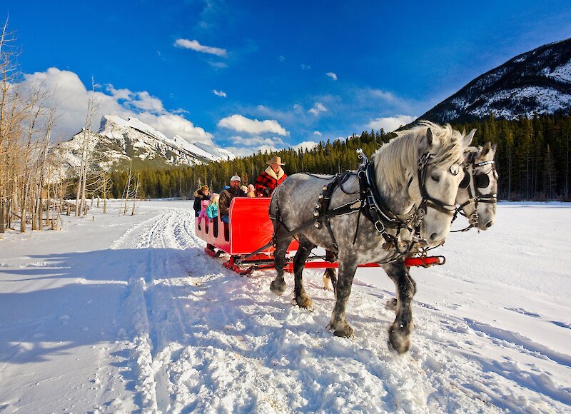 A sleigh ride in magical Banff on a bluebird winters day.